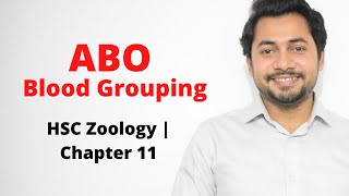 ABO Blood Grouping  | Genetics | HSC Zoology Chapter 11 screenshot 4
