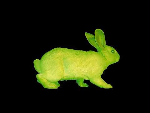     2  حسن ياسر ايه الباقولو