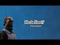 Black Sherif Dreamer Lyrics Video mp3
