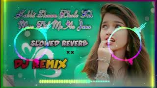 Kabhi shaam dhale toh Mere Dil Me Aa Jana (Slowed Reverb) DJ Remix