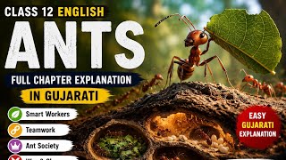 ANTS | Class 12 English | GSEB | Gujarati Explanation | Full Chapter Explanation in Gujarati