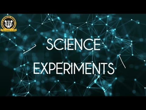 Science Experiments by CATS High School Students - Part 2