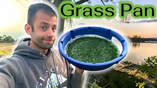 Panning Gold with a Grass pan!