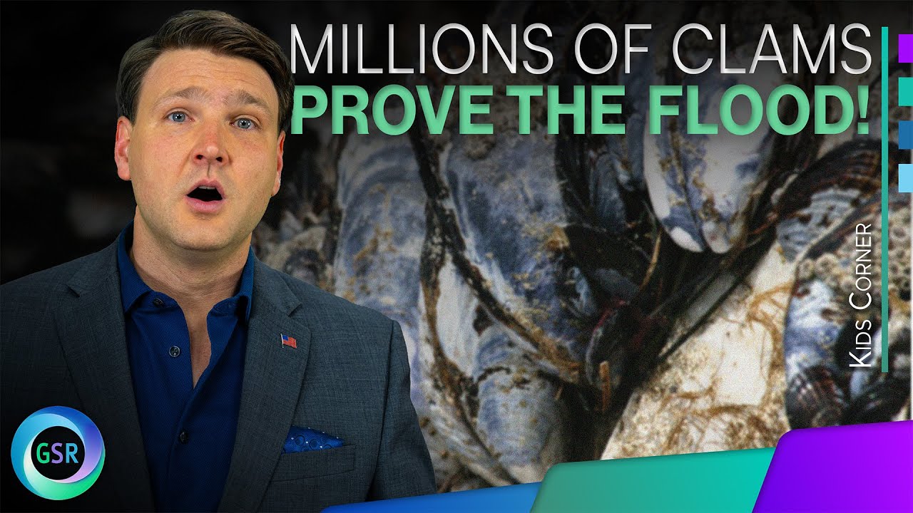 How Millions of Fossil Clams Prove a Global Flood| GSR Kids Corner with David Rives