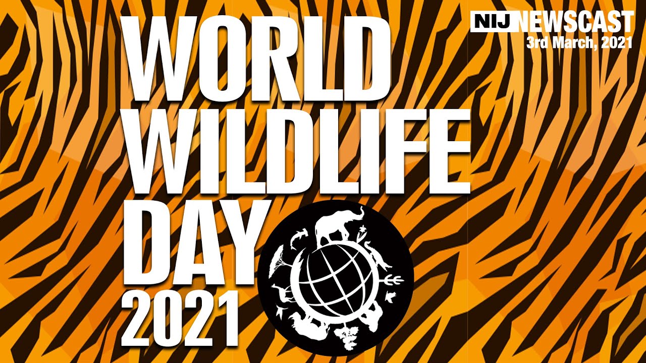 World Wildlife Day 2021