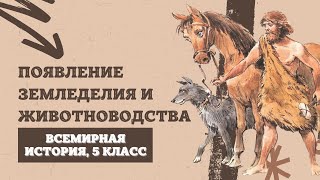 Появление земледелия и животноводства | История Древнего мира, 5 класс