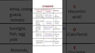 Vitamins Chart — Sources and Functions (A, C, D, E, K)