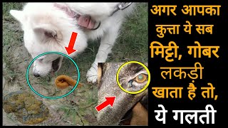 Dog care अगर आपका कुत्ता मिट्टी, घास, गोबर // आँख से कीचड़ आता है तो देखो  dog eating grass or mud