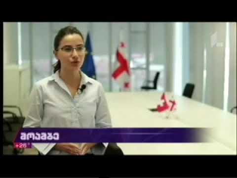 30 05 2020  I არხი15 00 მარიამ ქვრივიშვილი საქართველოში შვეიცარიის ელჩმა პატრიკ ფრანცენს შეხვდა