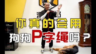 【养狗小白入门指南】狗狗P字绳到底该怎么用