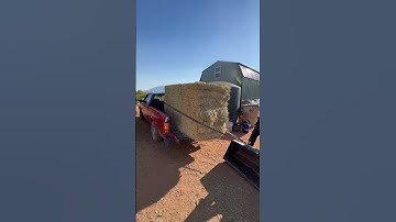 How to unload a large bale of hay by yourself #homestead #chicken #offgrid #chickensound