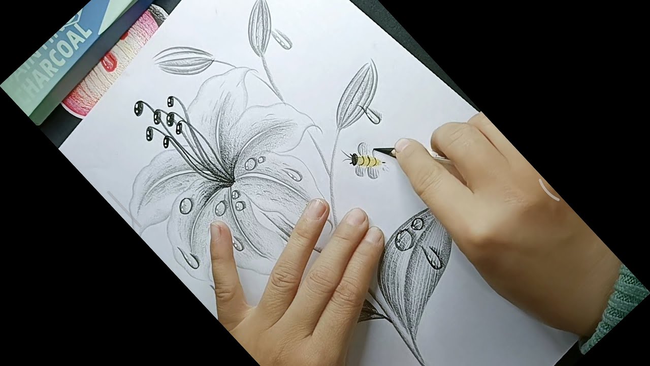 Easy drawing flower Tutorial #drawing #sketch #charcoalshading