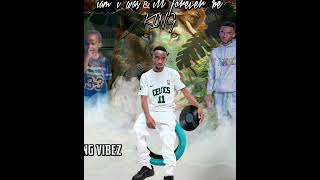 King Vibez Lilj - Army Of Two