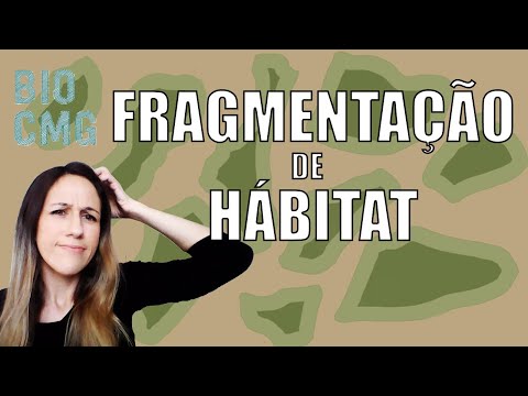 Vídeo: Como os humanos causam a fragmentação do habitat?