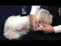Pet-Cool 『BodyCare』 How to use