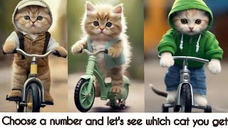 Cute cat compilation😻/Choose a number from 1-20 and comment down which cat you get/Cute Kitten video