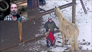 Dunrovin Ranch Video_2021-12-14_190054-Brandon and Oggy..