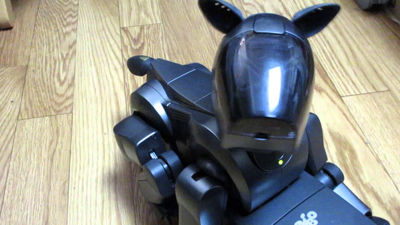 SONY AIBO ERS-210の挙動 - YouTube