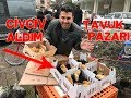 Tavuk Pazarından Civciv Aldım Gurk Brahma Altına