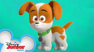 Looking For Cody | Music Video | Puppy Dog Pals | Disney Junior