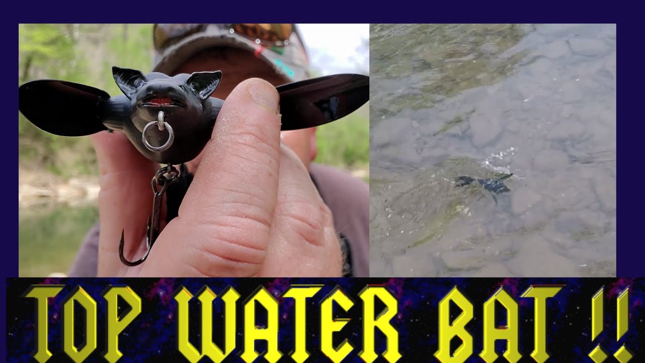 THE BAT!! Fishing Lure Topwater review unboxing SAVAGE GEAR 