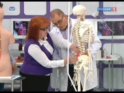 Радикулит - симптомы и причины, лечение. От чего болит спина? Диета при радикулите