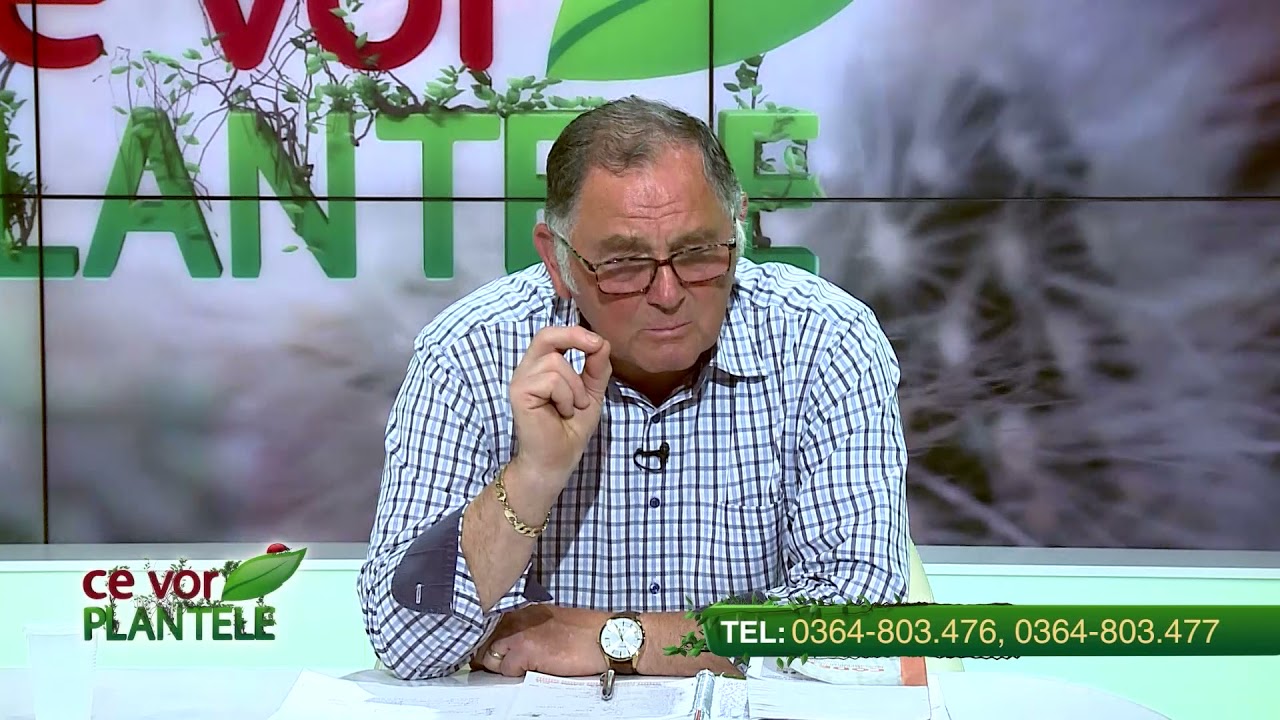 VIDEO Dr. Ing. Horia Ghibu ne învață cum scăpăm de buruienile din culturile de legume 1 VIDEO Dr. Ing. Horia Ghibu ne învață cum scăpăm de buruienile din culturile de legume YouTube player