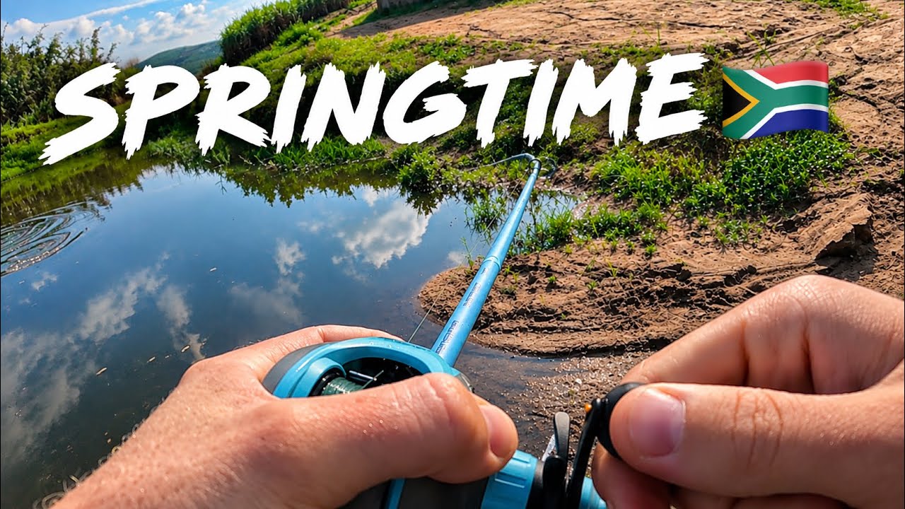 springtime bass fishing in South Africa🇿🇦