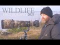 WHAT happens with my channel in 2021 || WILDLIFE PHOTOGRAPHY - waterfowl