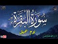 سورة البقرة طاردة الشياطين بصوت هادئ ومريح جدا جدا تلاوة هادئة للنوم والراحة النفسية LIVE