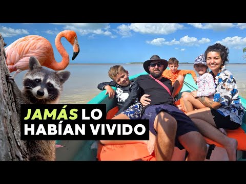 Mi familia Australiana conoce el PARAÍSO YUCATECO: Celestún 🦩🌴