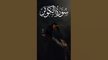 Surat Al-Kawthar (The Abundance) | Mishary Rashid Alafasy | مشاري بن راشد العفاسي | سورة الكوثر