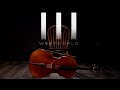 Westworld - Main Theme (Piano Cello Cover)