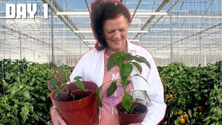 Expert Advice on Choosing the Right Plants