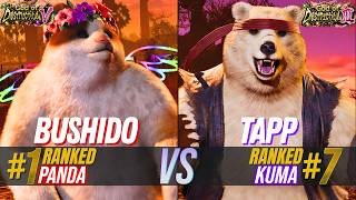 T8 ✪ BUSHIDO (#1 Ranked Panda) 🆚 TAPP (#7 Ranked Kuma)  ✪ Tekken 8 High Level Match