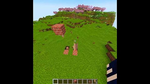 RIP Logic of Minecraft 🤨🧐 # part 2