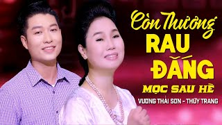 Còn Thương Rau Đắng Mọc Sau Hè - Vương Thái Sơn ft Thùy Trang (MV HD)