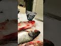 Мытищи ТРЦ Июнь Окей Рыба 763 Цены #shorts Fish Prices 魚 मछली 물고기 سمكة Fisch Poisson Pez Peixe Балық