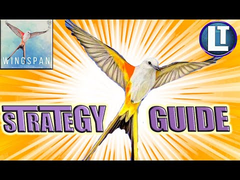 Video: Die Ruhige Strategie Von Wingspan, Einem Spiel über Das Anziehen Von Vögeln