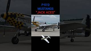 Mustang Stampede At The Great Tennessee Air Show