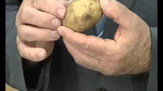 Качество картофеля
