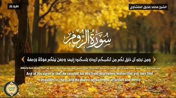 وَمِن آياتِهِ أَن خَلَقَ لَكُم مِن أَنفُسِكُم أَزواجًا لِتَسكُنوا إِلَيها|| الشيخ محمد صديق المنشاوي