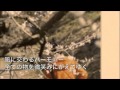 小さな手(DEMO)