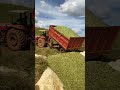 Trator Massey Ferguson 4275 descarregando a silagem de milho #pecuarista #pecuarista #trator #agro
