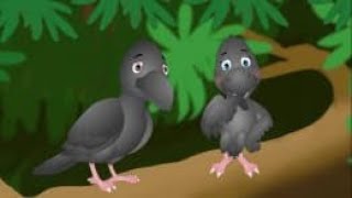 Enmity  of crows and owls....