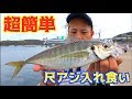 巨大アジが簡単に無限に釣れる！？調査してきた！