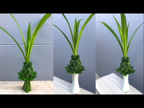 ต้นใบเตยดอกกุหลาบ | MeeDee DIY