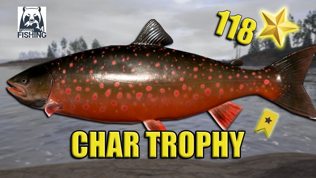 Char Trophy at Ladoga Archipelago - Russian Fishing 4