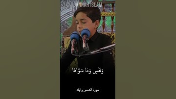 طفل موهبة اروع تقلید الشیخ محمود الشحات انور سورة الشمس والبلد القران #islam #quran #allah #shahat