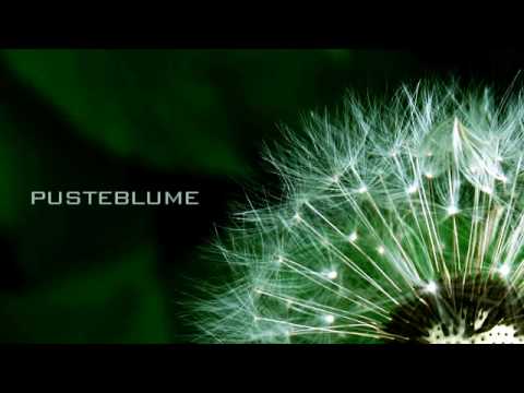 Jaques Raupé - Pusteblume (Club Mix)